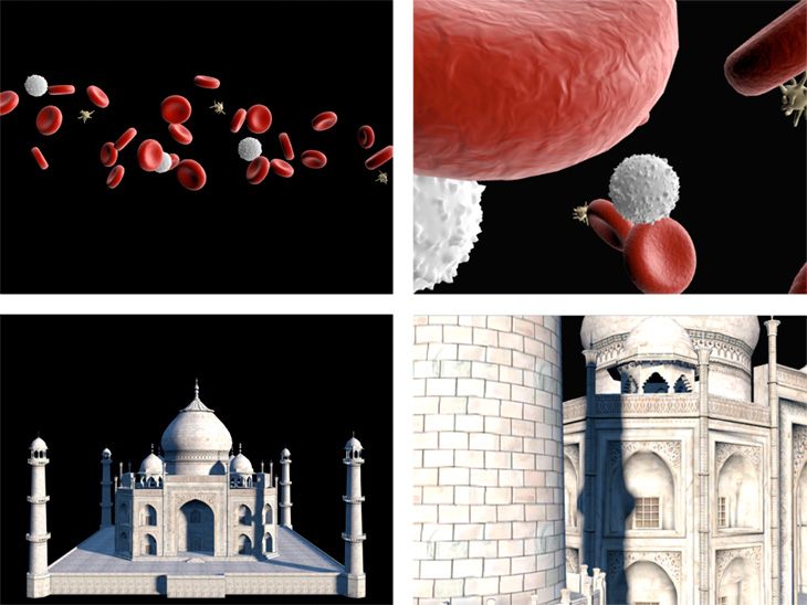 Nearpod 3D objects of red blood cells  and Taj Mahal