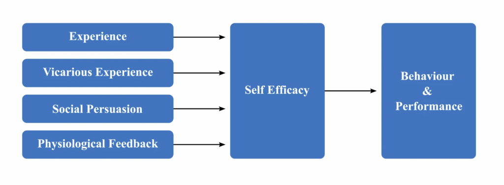 Self efficacy and student performance graph