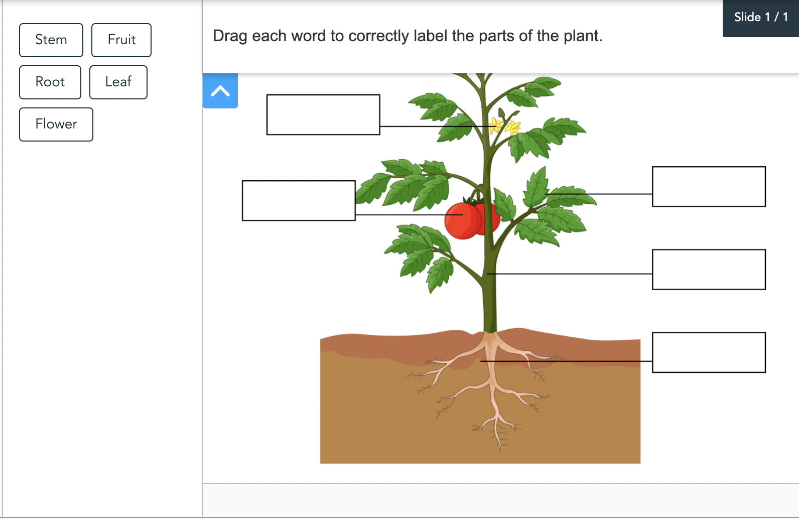 3 Ways To Use Drag Drop In The Classroom LaptrinhX