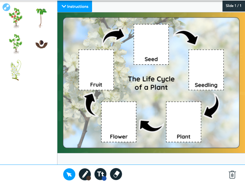 Drag and Drop activity to label and categorize as a fun way to prep for a test