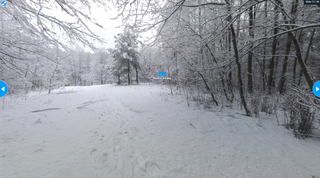 Forest winter themed classroom activities of a virtual reality experience from Nearpod's Poetry in Nature lesson