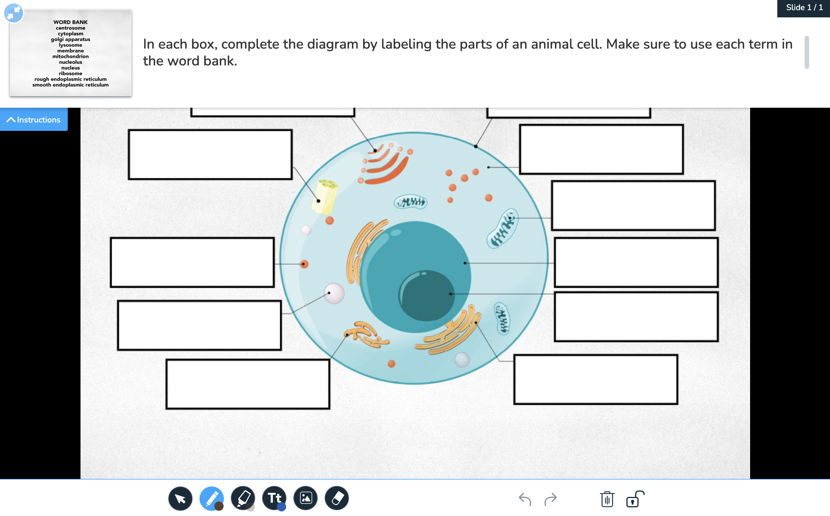 How to use drawing as a formative assessment tool - Nearpod Blog