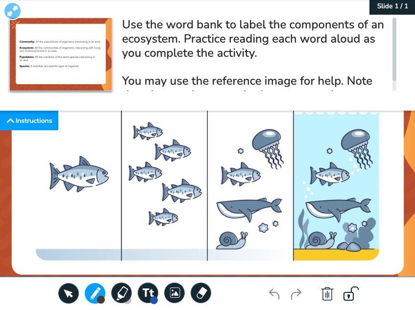 Draw It using reference media for special education